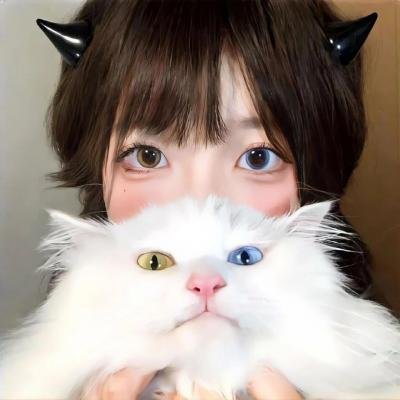 宫先生，你家四宝抄家了