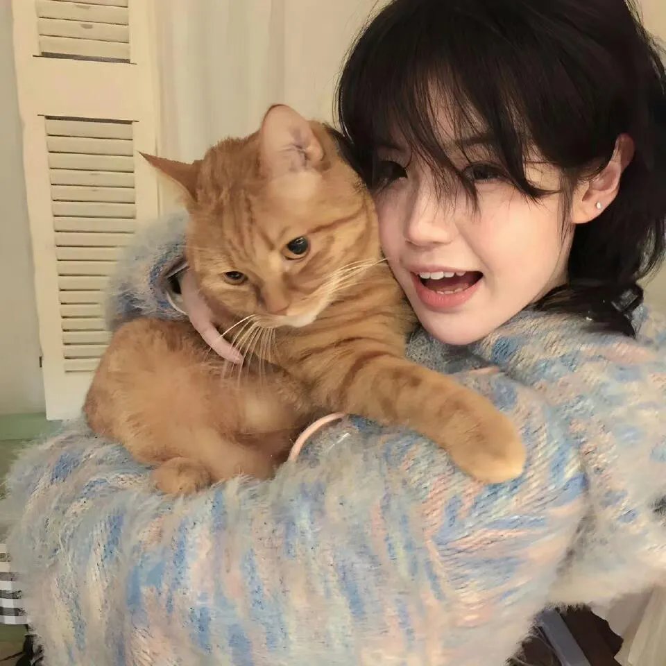 冲上云霄II国语