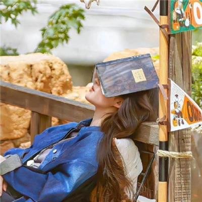 落花离人照君心